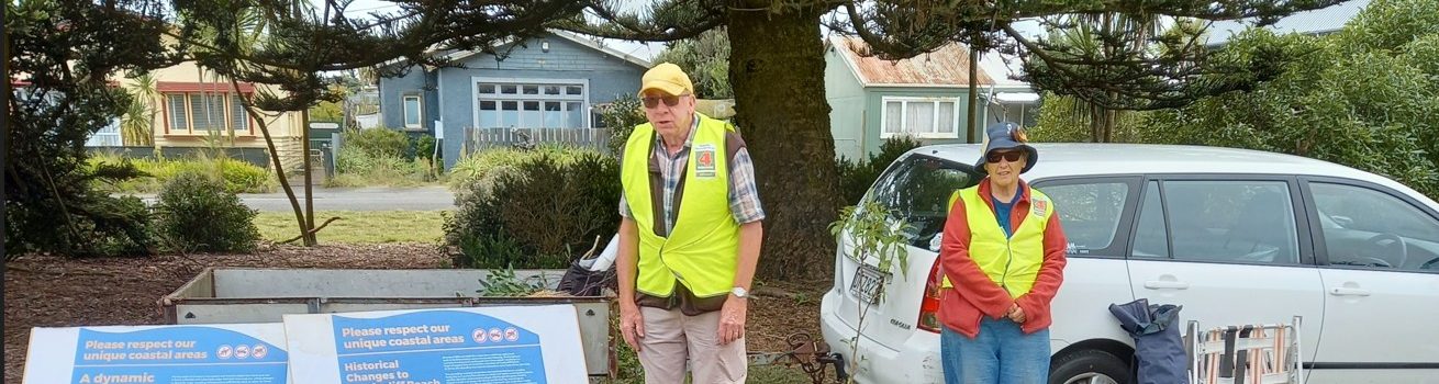 Planting over 40,000 spinifex and pingao – 17th July River City Press Article