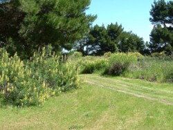 Photo: Carolyn Lewis